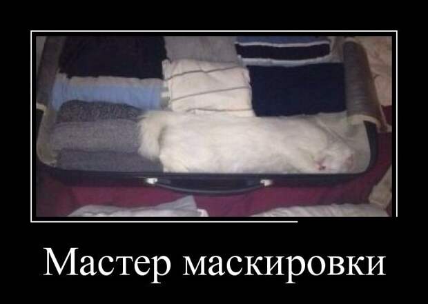 Демотиваторы демотиваторы, прикол, смех, юмор