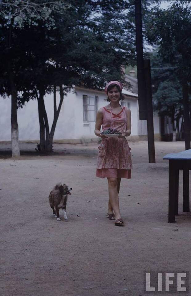 советская молодежь 1960-х годов