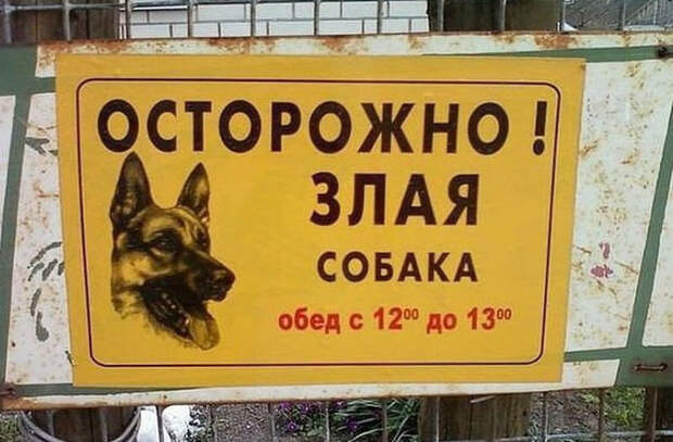 Звучит убедительно: 20 остроумных табличек собака, табличка, юмор