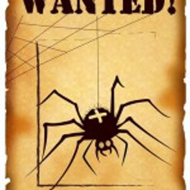 12187757_1651643255114449_2512790053055022855_n