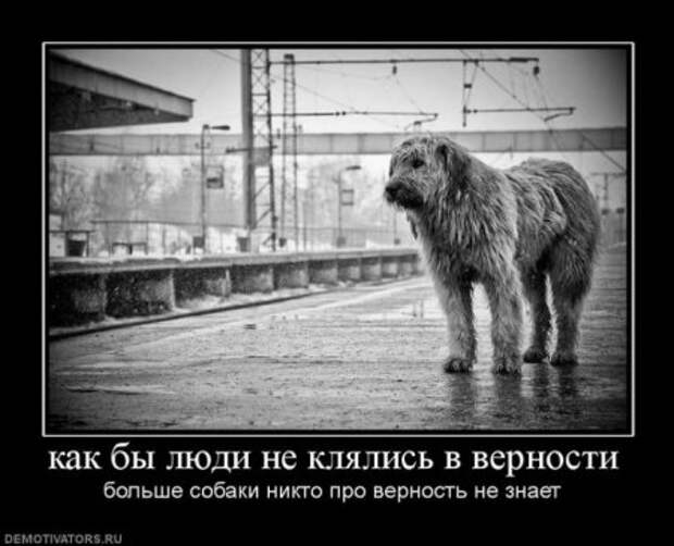 Демотиваторы серьезные, читать под настроение.