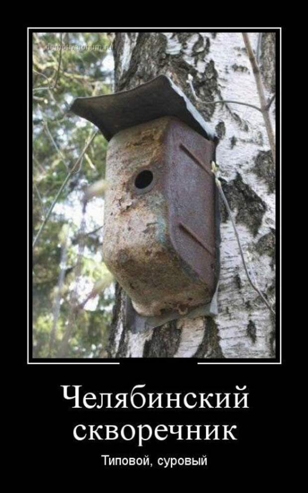 Подборка свежих демотиваторов