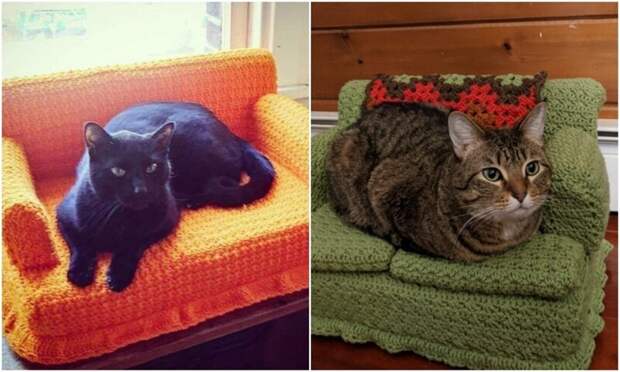 Хозяева вяжут для котов диванчики - и это сплошная милота!