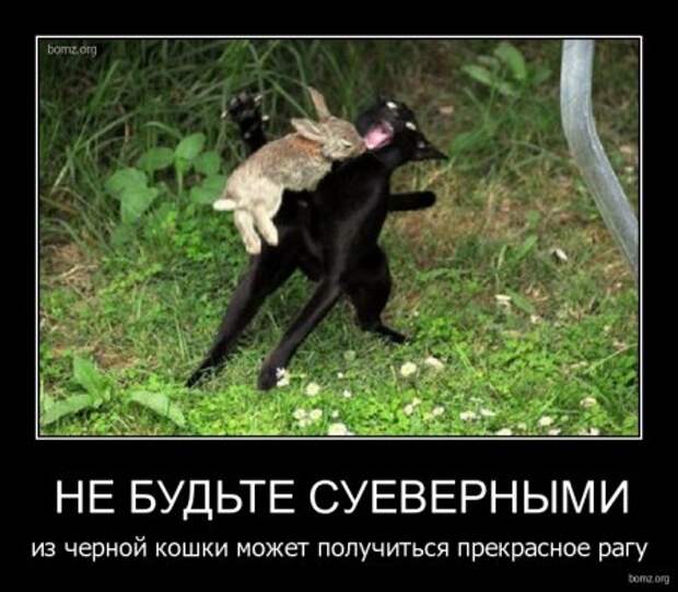 Смешные демотиваторы, классные фото.