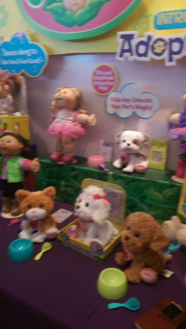 IMAG1073