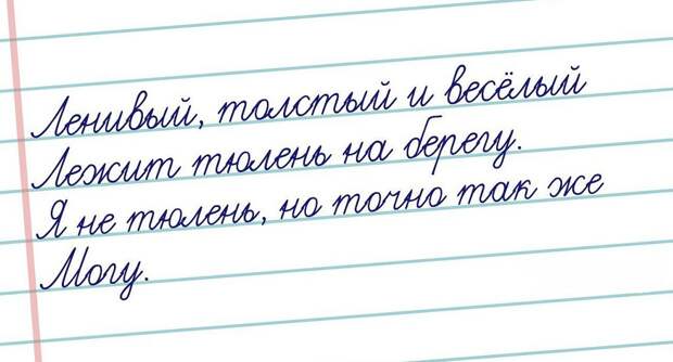 Странный юмор открытки, юмор