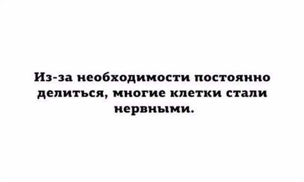 В точку! Я балдею!