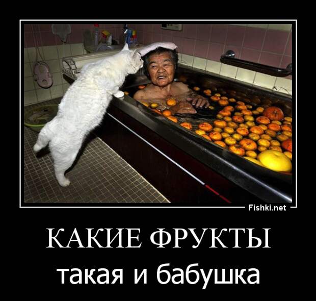 Демотиваторы демотиваторы