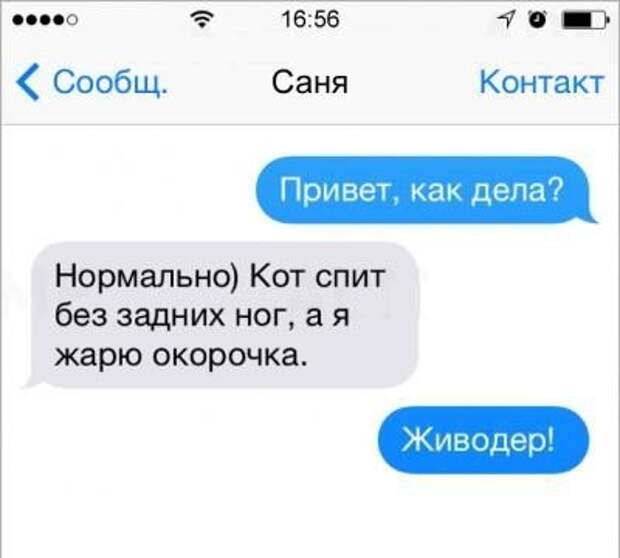 Приколы в СМС