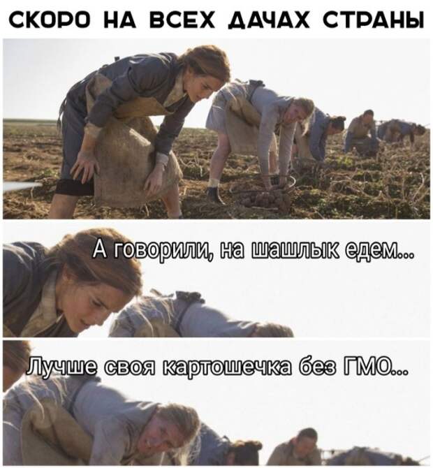www.vsyako.net