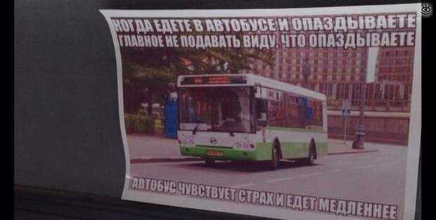 Позитив для автолюбителей 21
