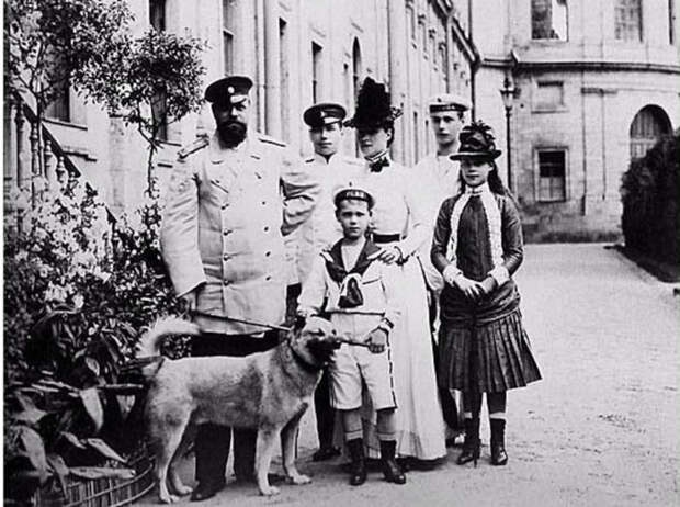 Лайка Камчатка — любимая собака Великого императора России Александра III./Фото: pics.meshok.net