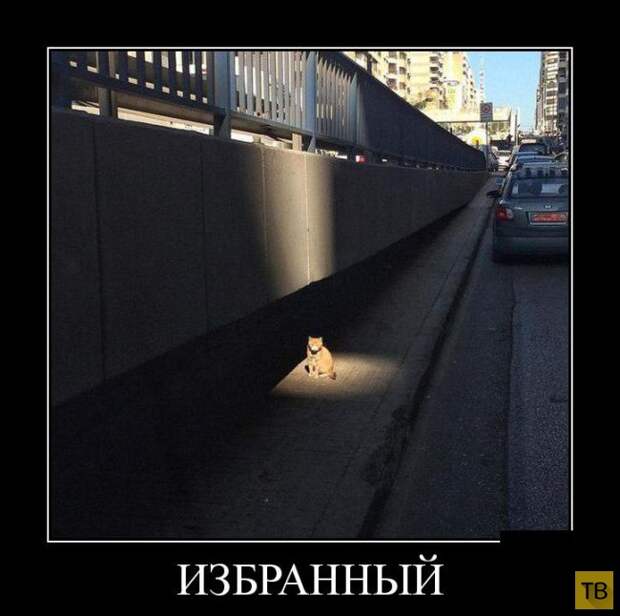 Демотиваторы от 10.04.2015 (35 фото)