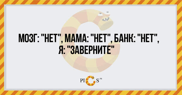 mozg