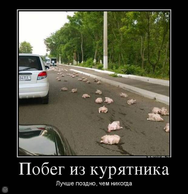 Посмеялись - и хватит 19