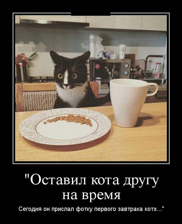 Демотиваторы (30 фото) Демотиваторы (30 фото)