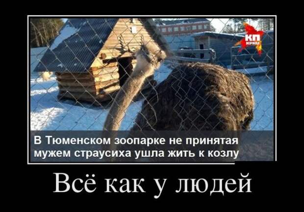 Демотиваторы. Отличная подборка!