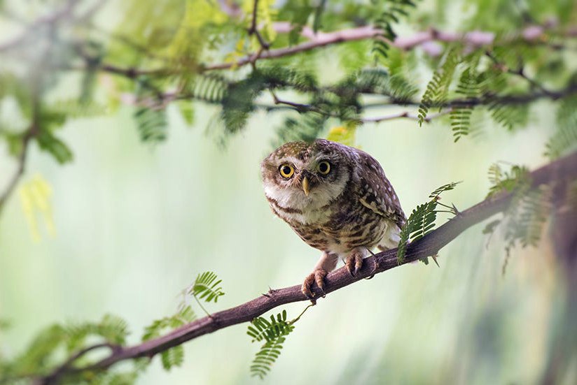 Психология. Фото: из открытых источников