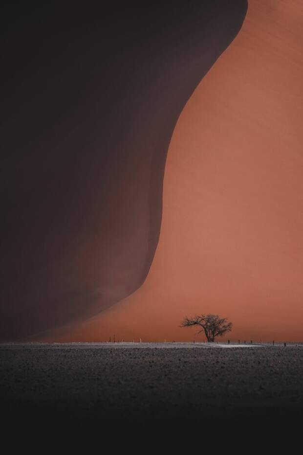 13 фото с конкурса Landscape-2019, после которых вы захотите отправиться в путешествие
