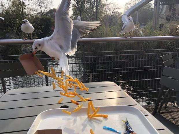 30 фотографий, которые были сделаны не раньше и не позже, а именно в нужный момент фото в нужный момент, фотографии в нужный момент, фотографии сделанные в нужный момент