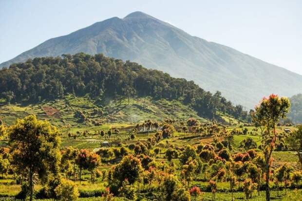 Национальный парк Kerinci Seblat, Суматра