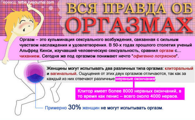 Вся правда об оргазмах оргазм, факты