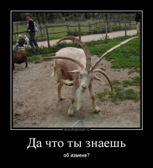 Новая пачка демотиваторов. Смотрим приколы Новая пачка демотиваторов. Смотрим приколы
