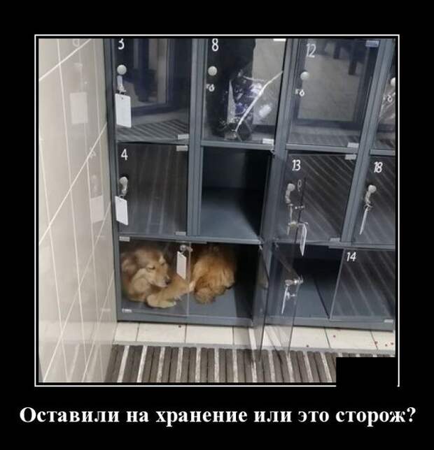 demotivatory-kartinki-smeshnye-kartinki-fotoprikoly