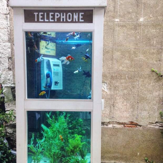 Бассейны, аквариумы и печи из старых авто и телефонных будок