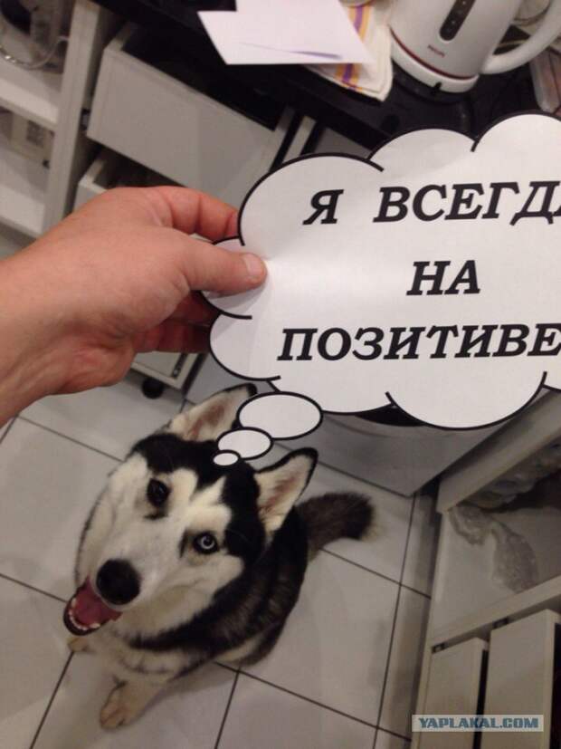 ЧудоХась
