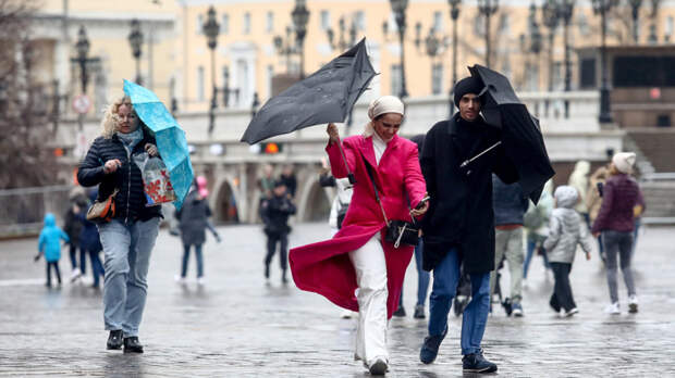 В Москве и области ожидаются семибалльные порывы ветра