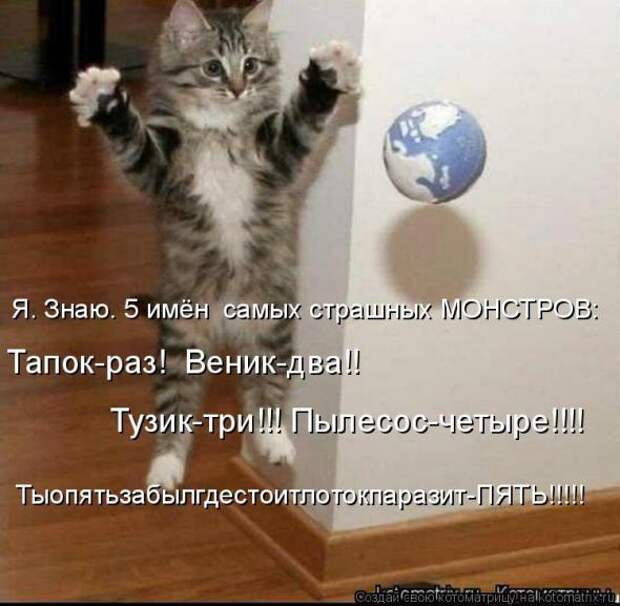 Котоматрица