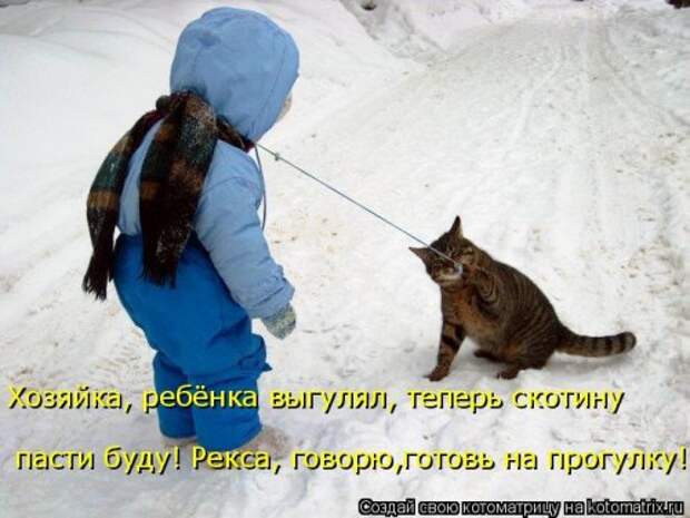 Свежая котоматрица (33 фото)