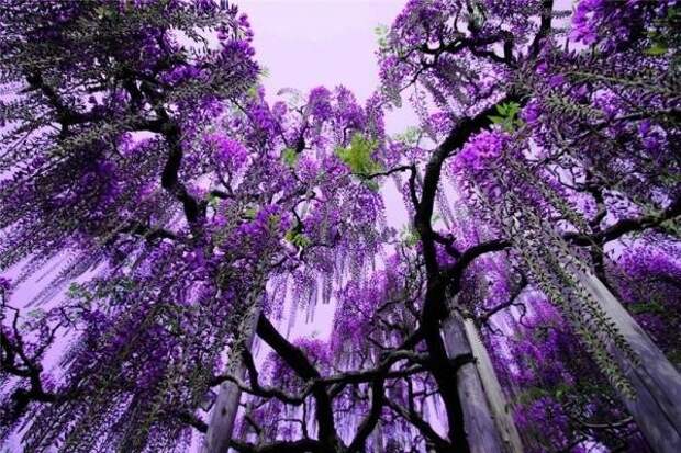 Фотовыставка Как прекрасен этот мир фото окружающий мир Интернет урок