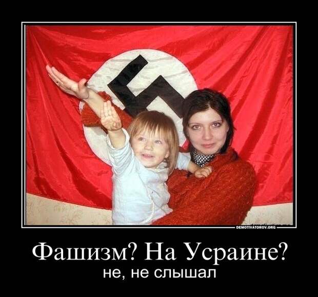 О «зачистке наци» киевским режимом О «зачистке наци» киевским режимом