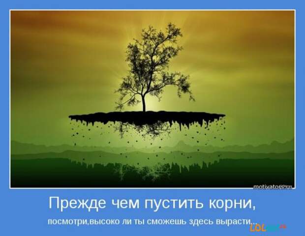 Мотиваторы.Начните выходные с радостью в  сердце.