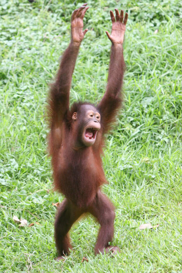 23. Когда наступил последний день месячных 23. Когда наступил последний день месячных гримаса, женщина, жизнь, критические дни