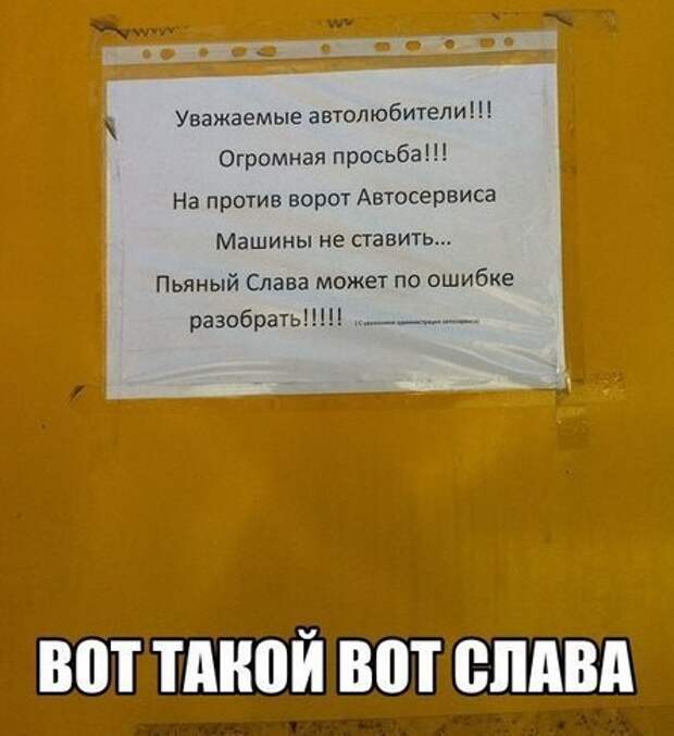 Смешные картинки с надписями прикол, юмор