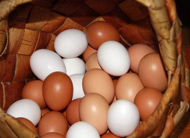 Приметы о курином яйце