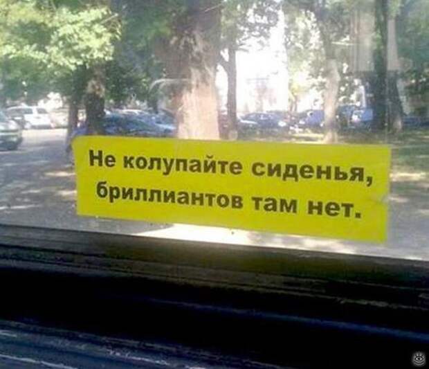 Картинки, юмор, приколы