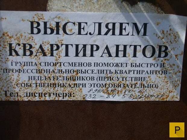 Забавные объявления об аренде и прокате (24 фото)