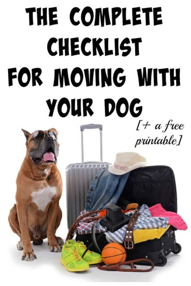 Will you be moving or taking a trip soon with your dog? Here's a complete guide to ensuring a smooth transition!