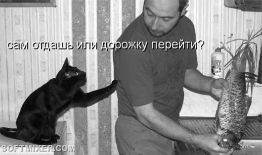 ed2aa6d73a835488bdc436b97a6_prev