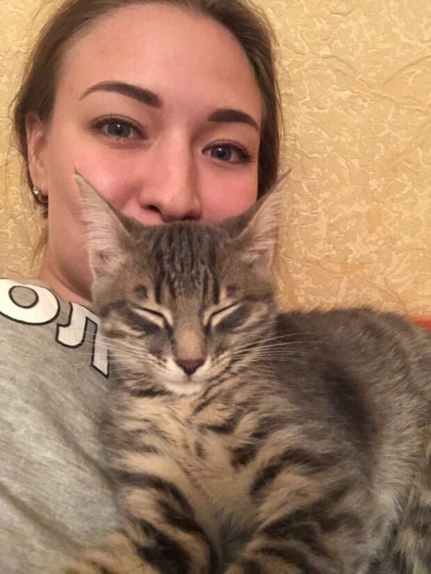девушка приютила котенка котенок и девушка