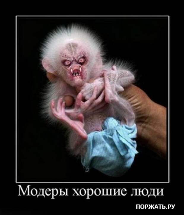 Демотиваторы (22 штуки)