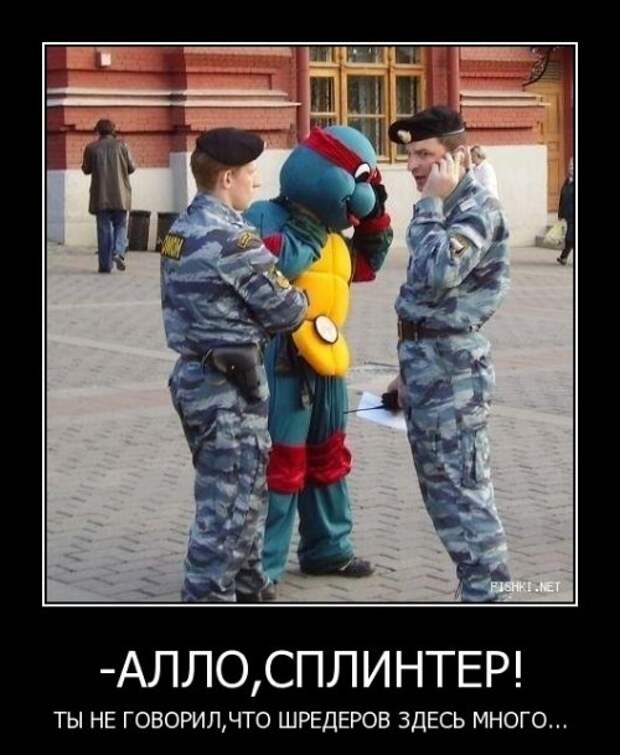 Демотиваторы-13 (50 фото)