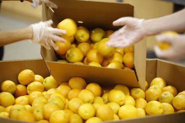 Новогодний стол: как изменились цены на продукты за год