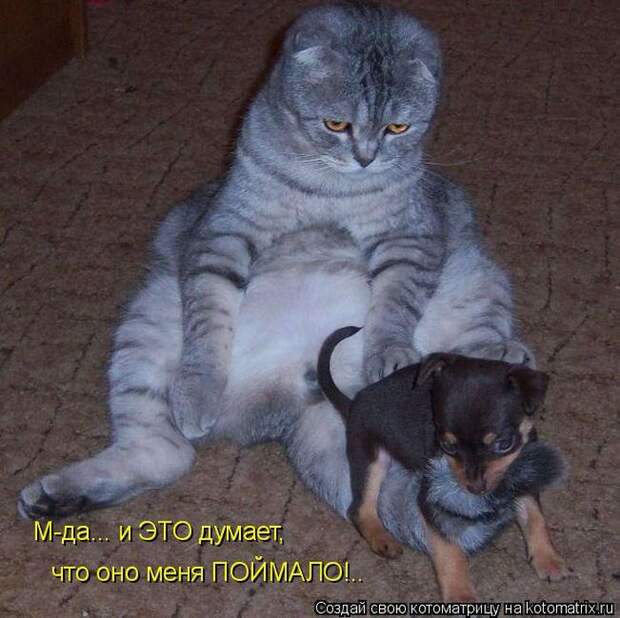 Мысли вслух :)