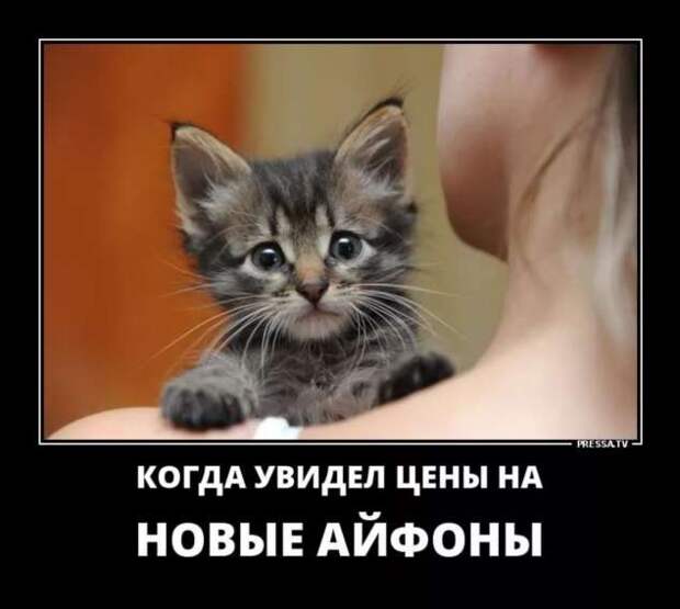 Прикольные демотиваторы с надписями. Подборка chert-poberi-dem-chert-poberi-dem-29310421092020-15 картинка chert-poberi-dem-29310421092020-15