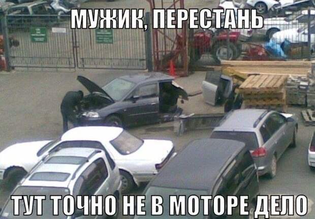 Подборка автоприколов. Часть 229 автоприколы, приколы